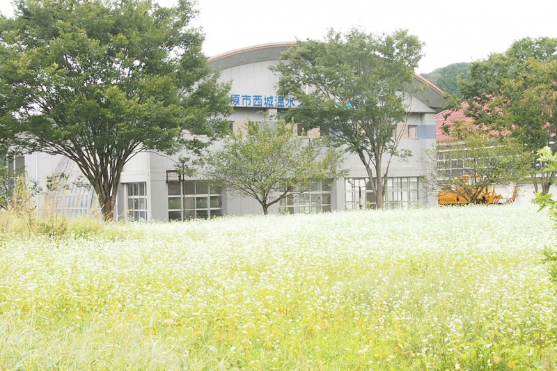 P9150366 - コピー