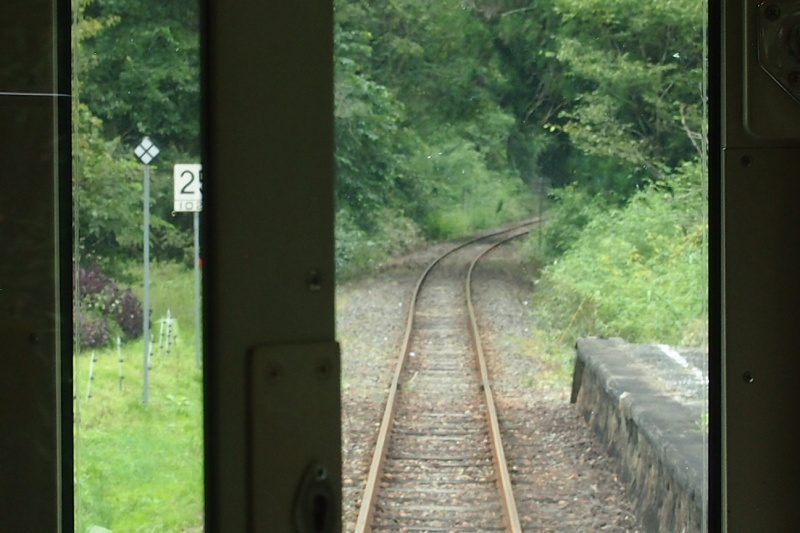 P9160404 - コピー