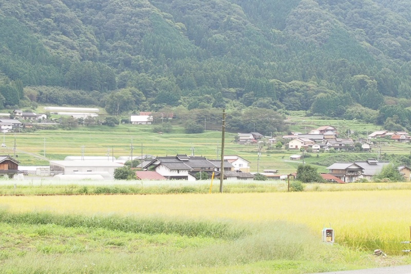 P9150369 - コピー (2)