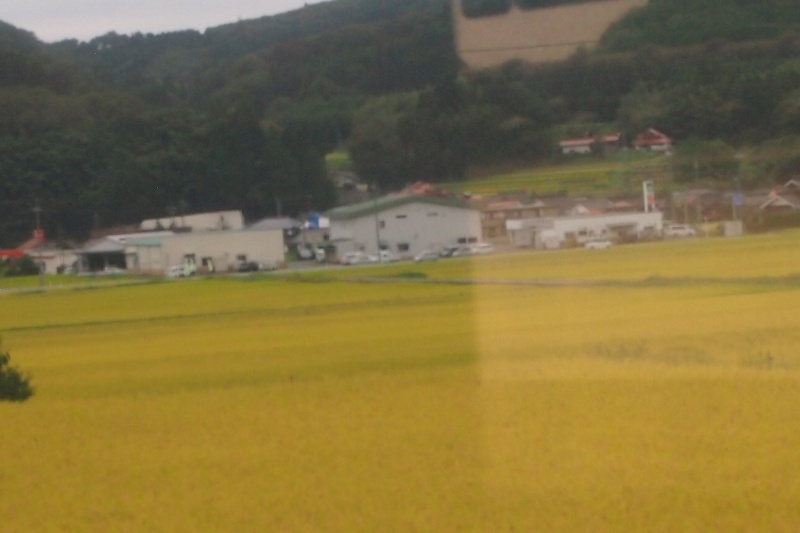 P9160405 - コピー