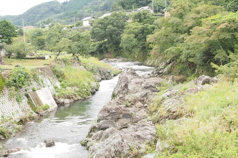 P9150367 - コピー